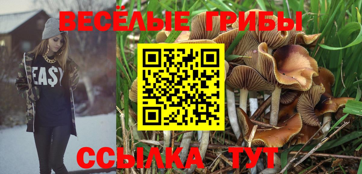 Псилоцибиновые грибы Cubensis  Вход с VPN  Куйбышев  Галлюциногенные грибы MAGIC MUSHROOMS 